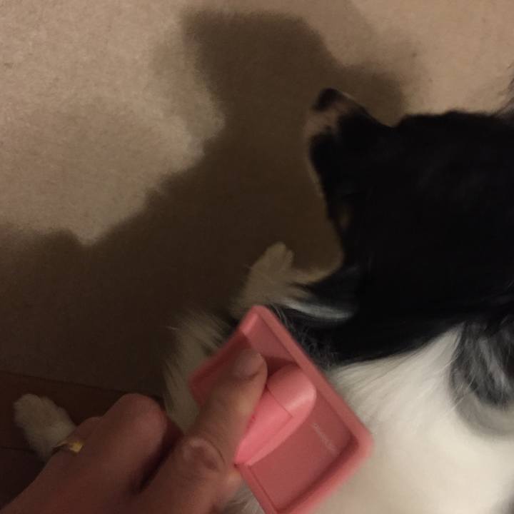 363e328a c20f 4f98 af20 bf69b24e3524