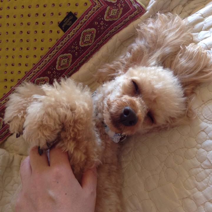 363ee717 abf0 4ceb b0f8 0fe2988a2e37