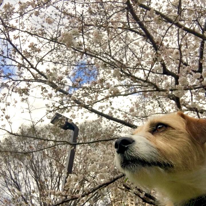 363ef16e 6e7e 44cd 9d54 b41c43856b32