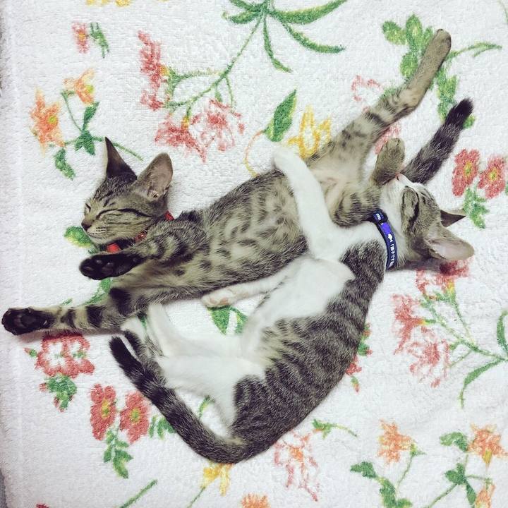 363fa607 5e2c 43dc 8130 759777320b5a