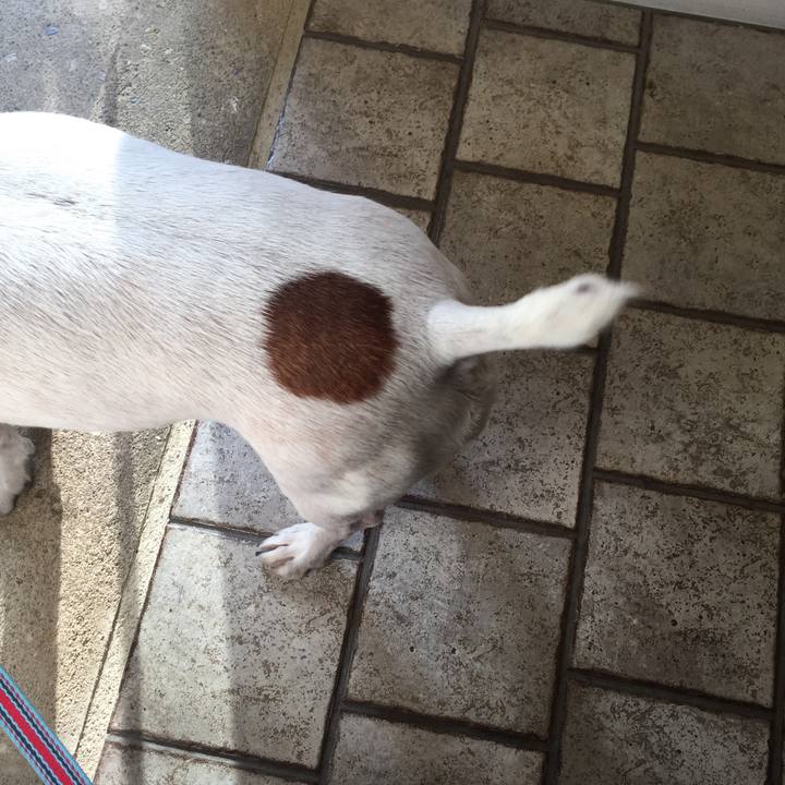 36402a06 9e03 4495 9cec 2c9dbf153f92