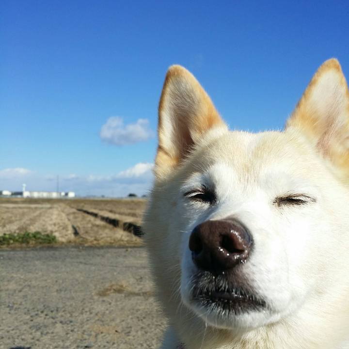 36407337 47f6 42c0 b416 99400d996f57