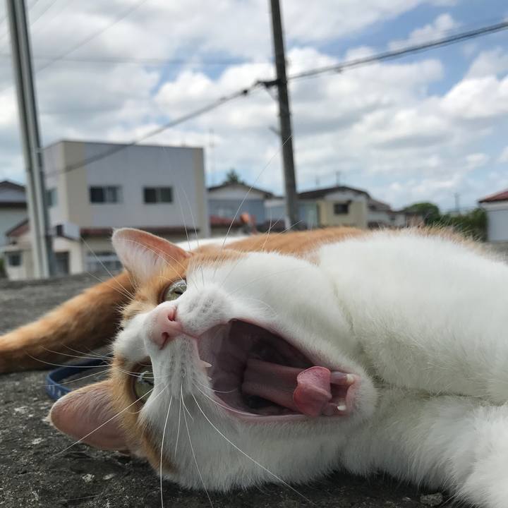 3640bcd2 bbeb 48ab b866 e97ac77b672a