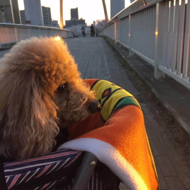 364163d3 60fd 4f5c 9ed4 179ee7ce9c2c