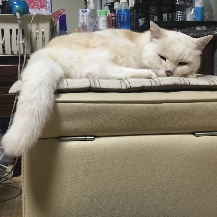 36416d5e eb8f 4c42 a4ad 46c3b197f047