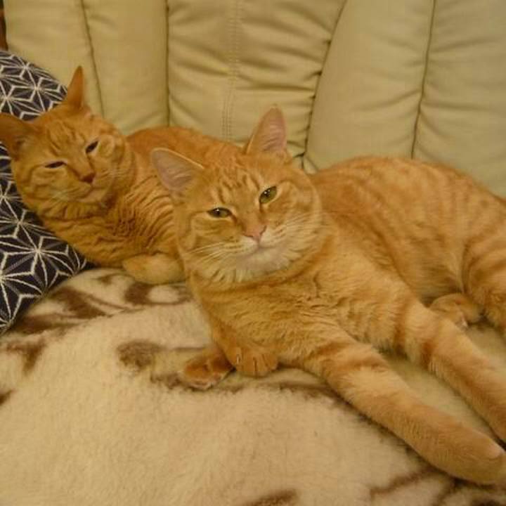 3641be9e 13ab 4103 b5ea b7a89470821a