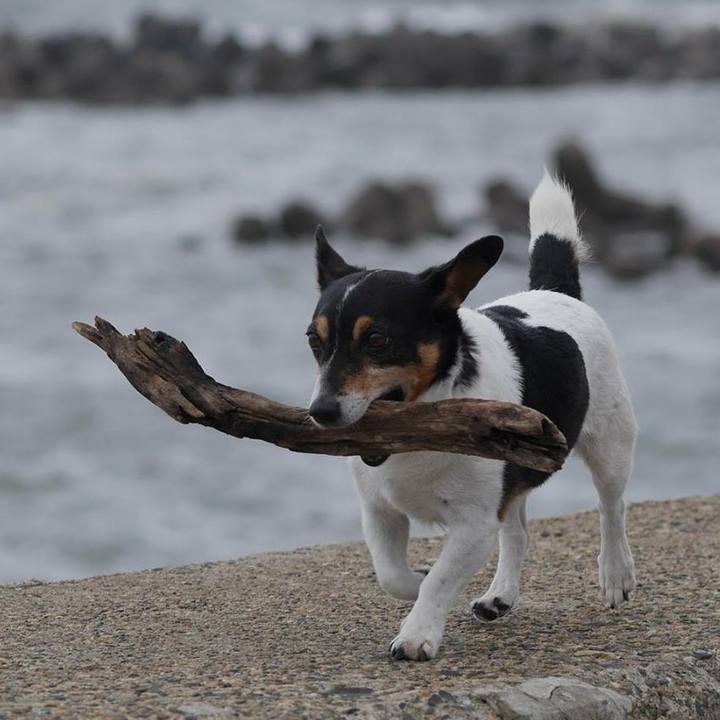 3641fa49 749e 451a a71e 30638bf4f418