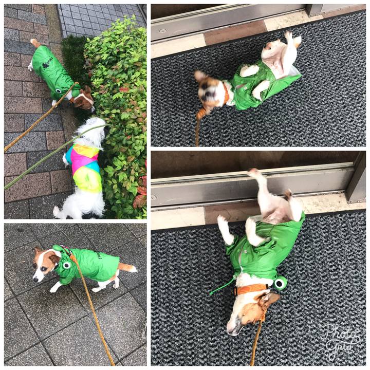 36420e57 c587 48f0 a26e 57b61497de43