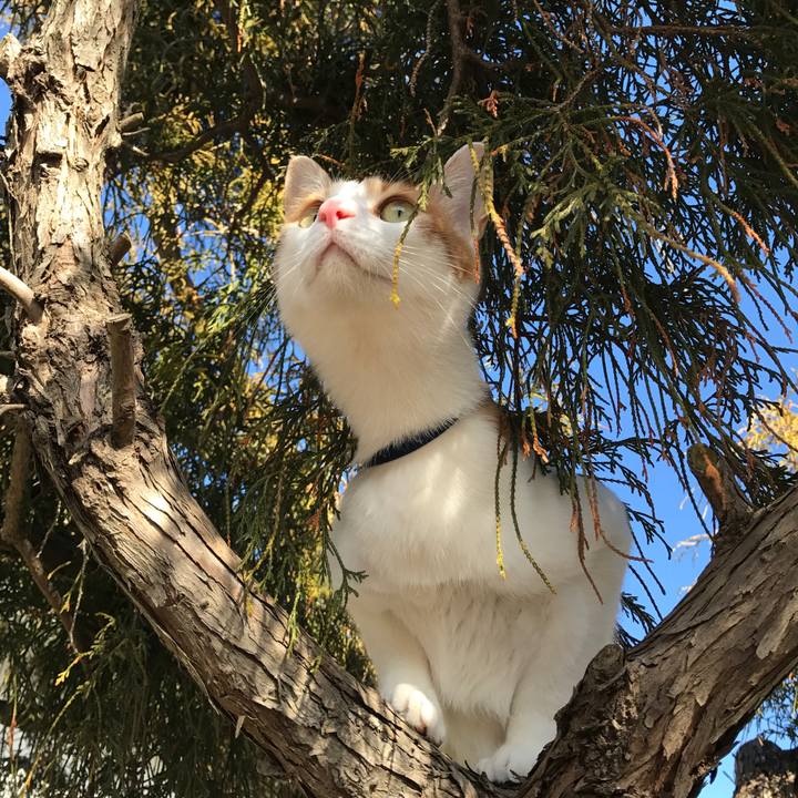 3642c7c5 2e19 4668 98d2 6812058597a1