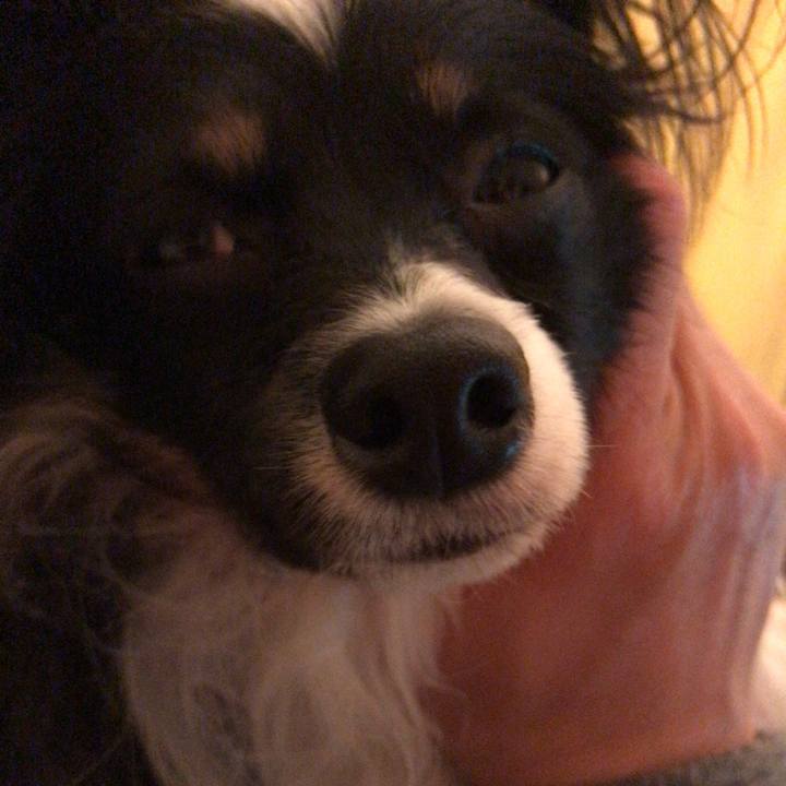 3644c1ce de22 46eb 95d1 dda840a8d013