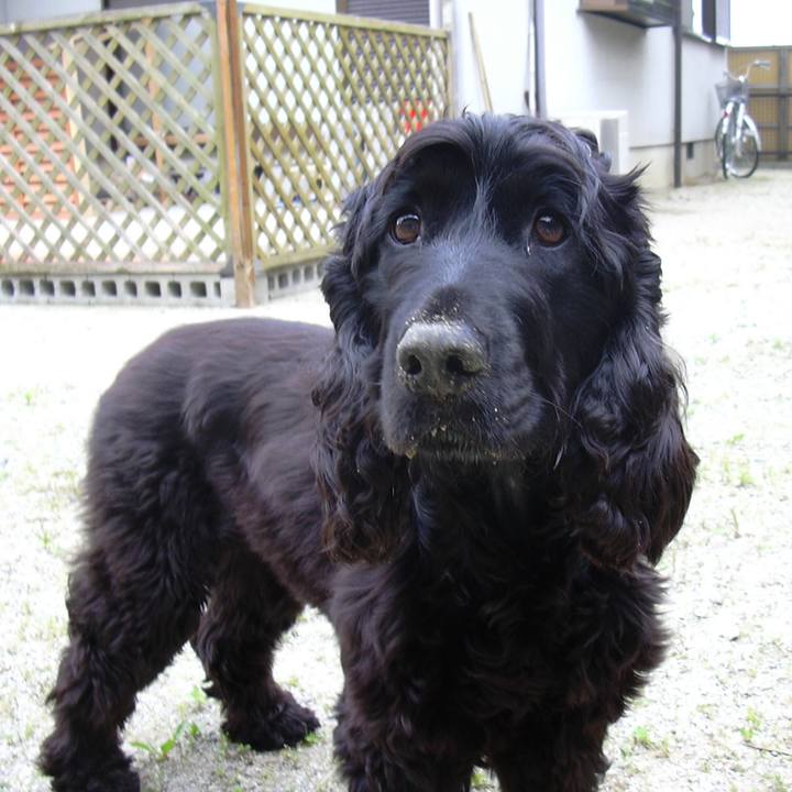 364516a5 2ff7 4cb3 8524 a62361e5c169