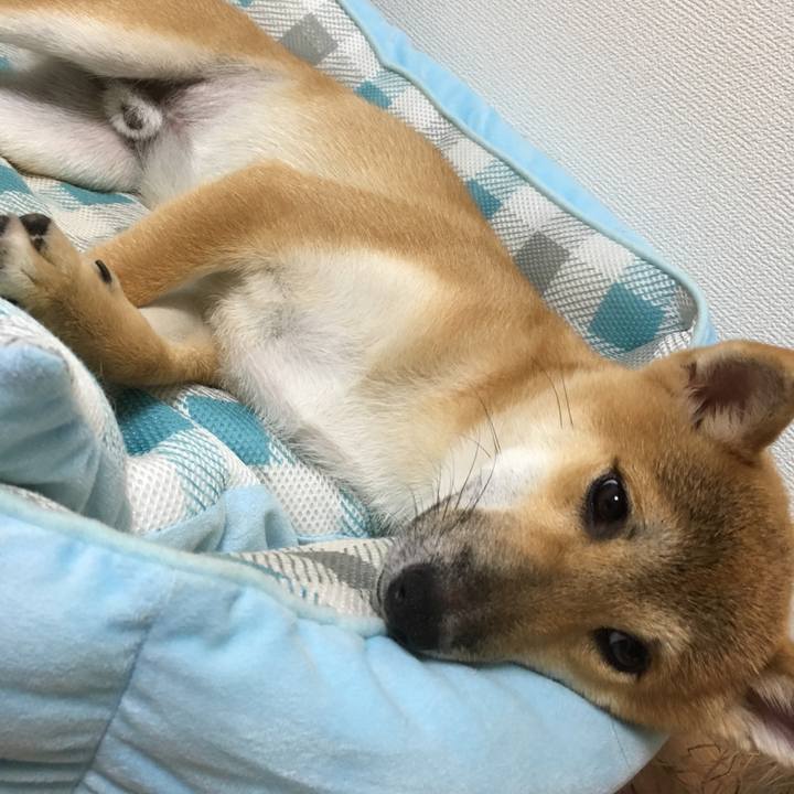 3646305d 0afd 47df a6fb f1ff717f0970