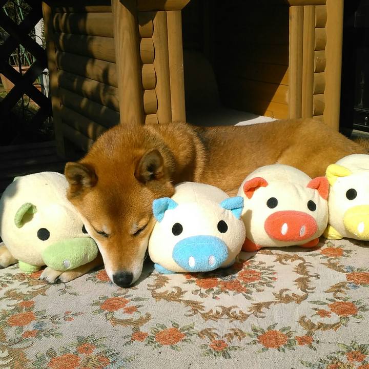 36465588 85de 4085 9033 3f212692addd