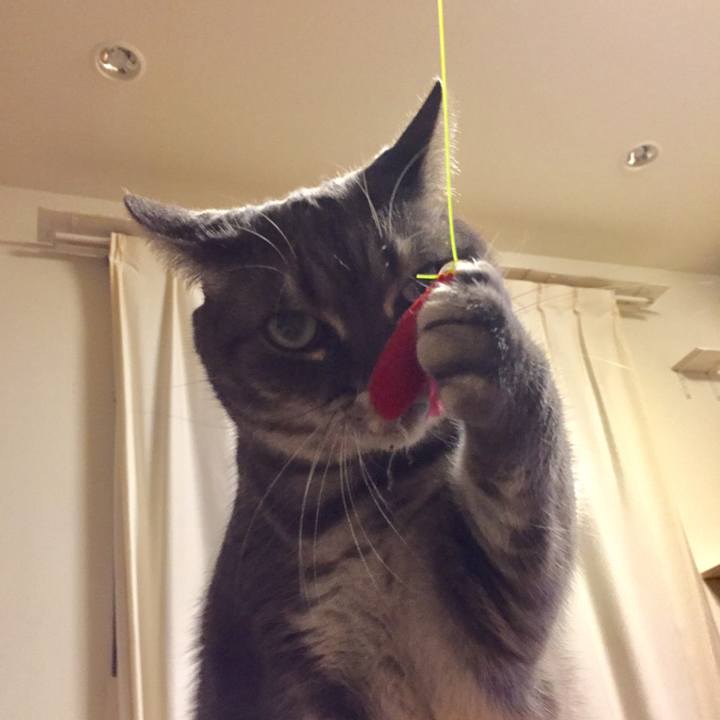 3646cc49 6727 46ff bd84 f29562fa0c4a