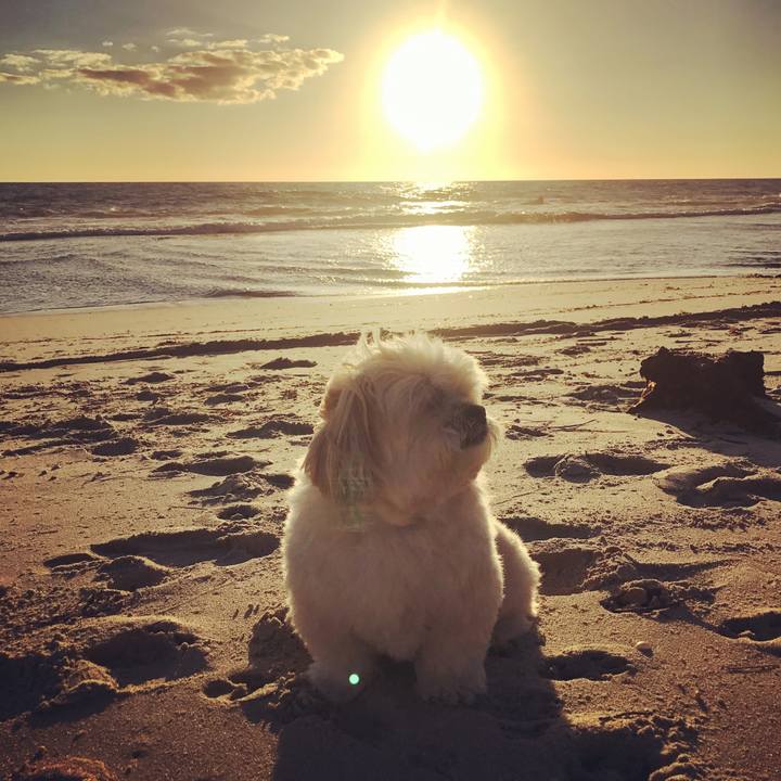 3646d346 c2e2 40d0 a39b 4c0ff8499019