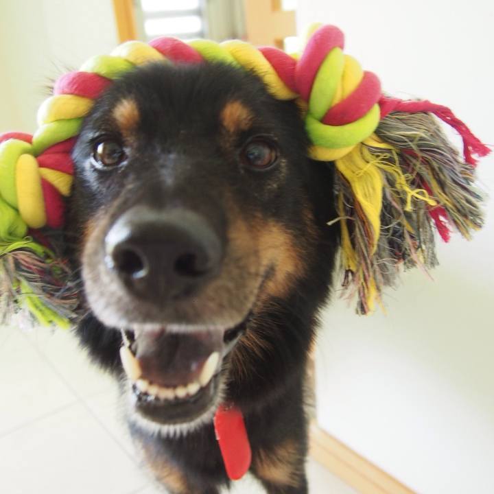 364732f8 7bb2 4cd6 acc6 8dda36848158