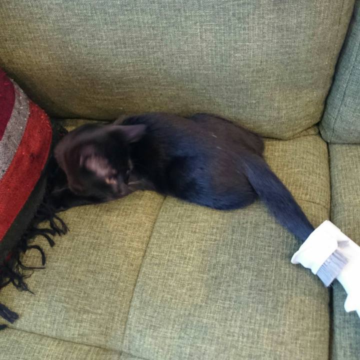 36476bd0 c867 4fd4 973d 867a6de381f9