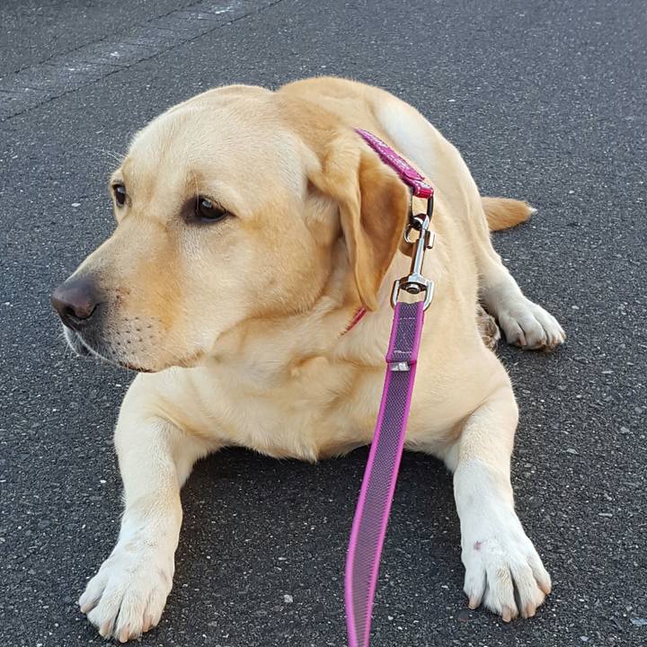 3648652f d1ce 47a2 8ffd 26eca820176a