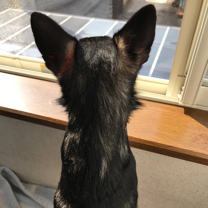 36494ca2 7ab4 43b8 bd63 3028d9ba851a