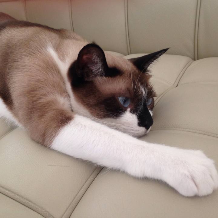 36499bfc c5c3 4b9d 8b67 f0dbb1fba4e0