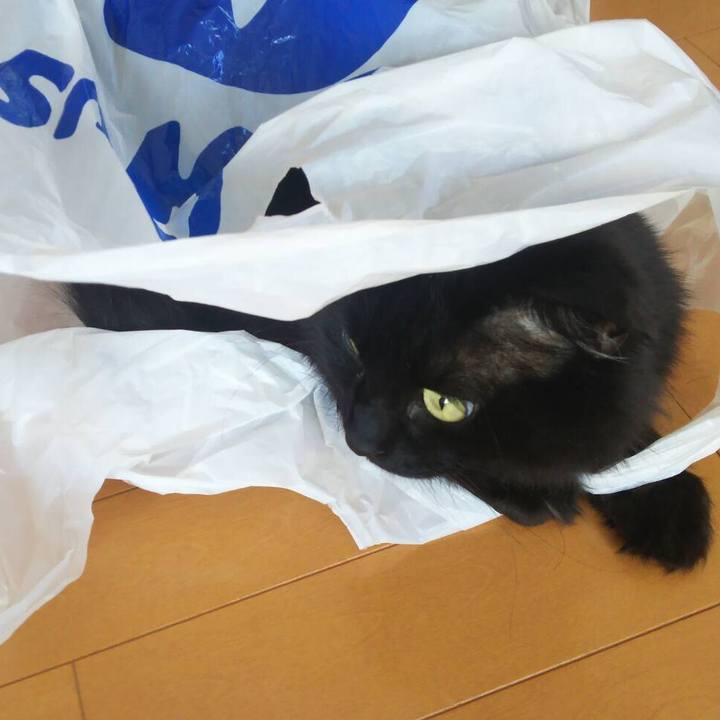 364b6028 84c1 4d5f 8182 cabd3b14dd85