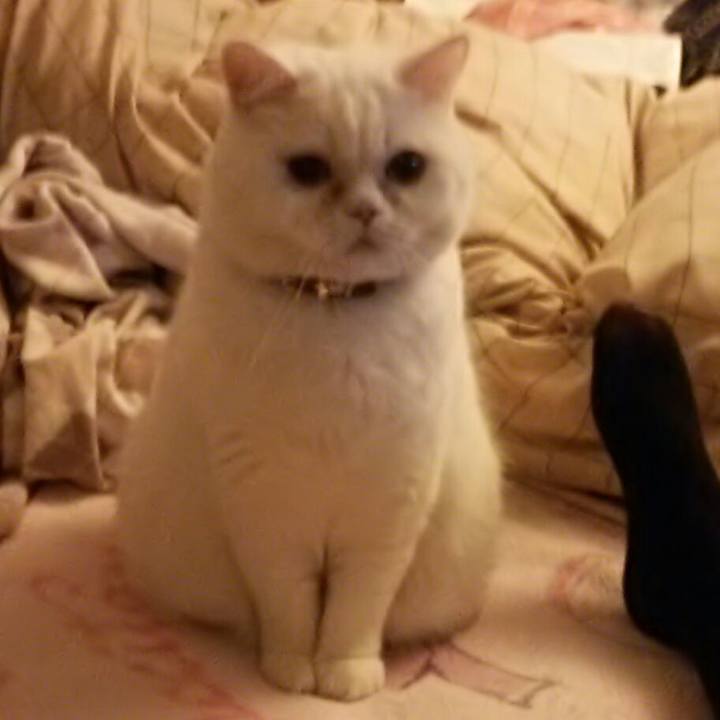 364c2923 8411 4543 99b3 15ab089a2bd3