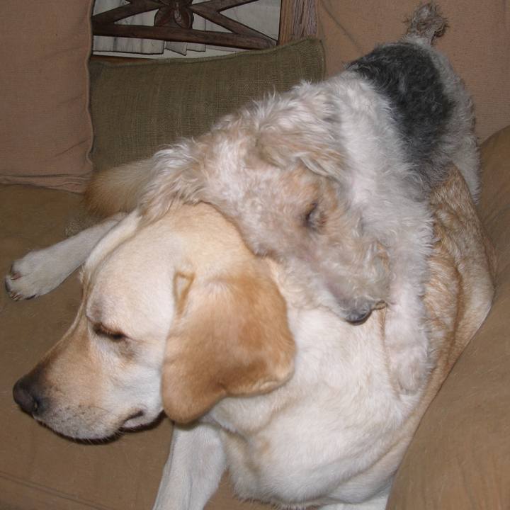 364c6dc1 3975 4b59 ac13 71a70f548f6c