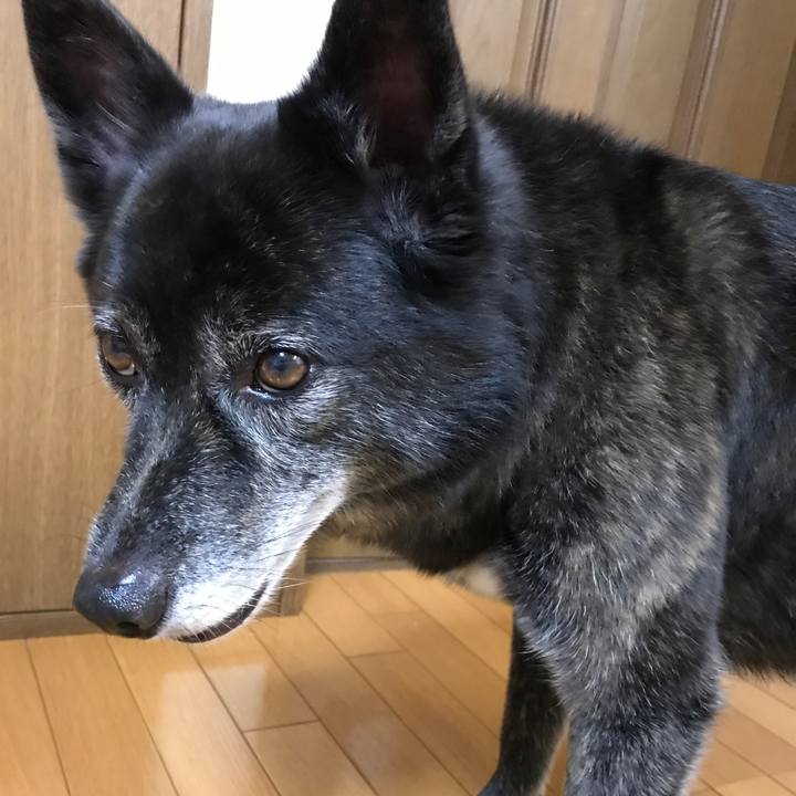 364c7962 72e2 4c43 a540 47b7b293a11d