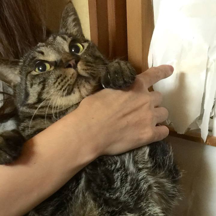 364cc631 cb2e 434c abf1 fb43ba7e8168