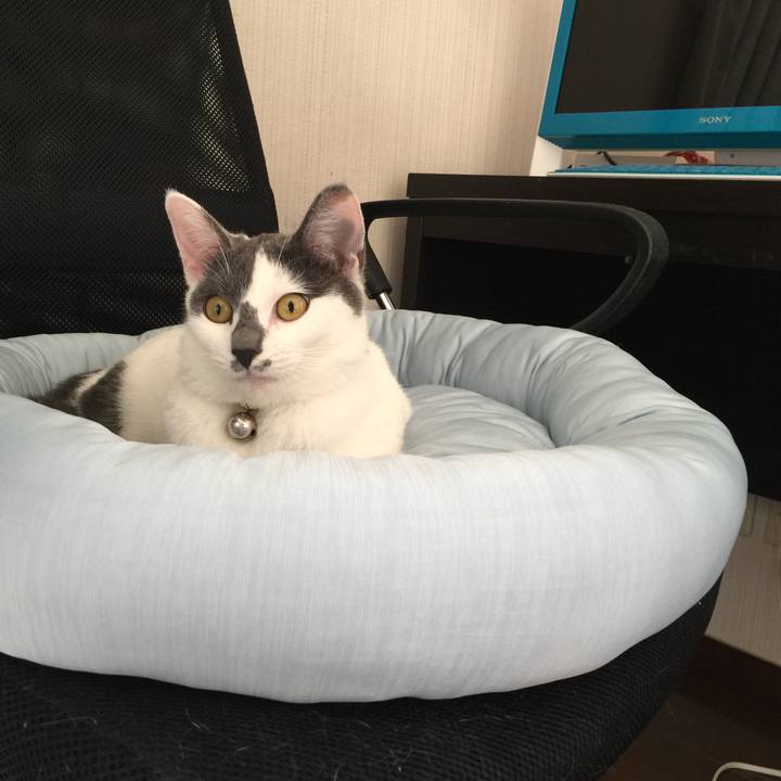 364cdcf9 7d85 4690 81ba 9a494d99f686