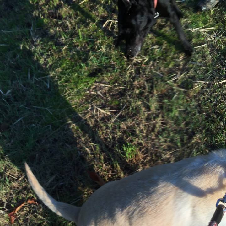 364d6d08 3ecd 46ef 9857 4ca860485b31