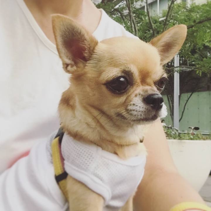 364d6dbf 5ecf 42ff aef3 6c454e6dbe52