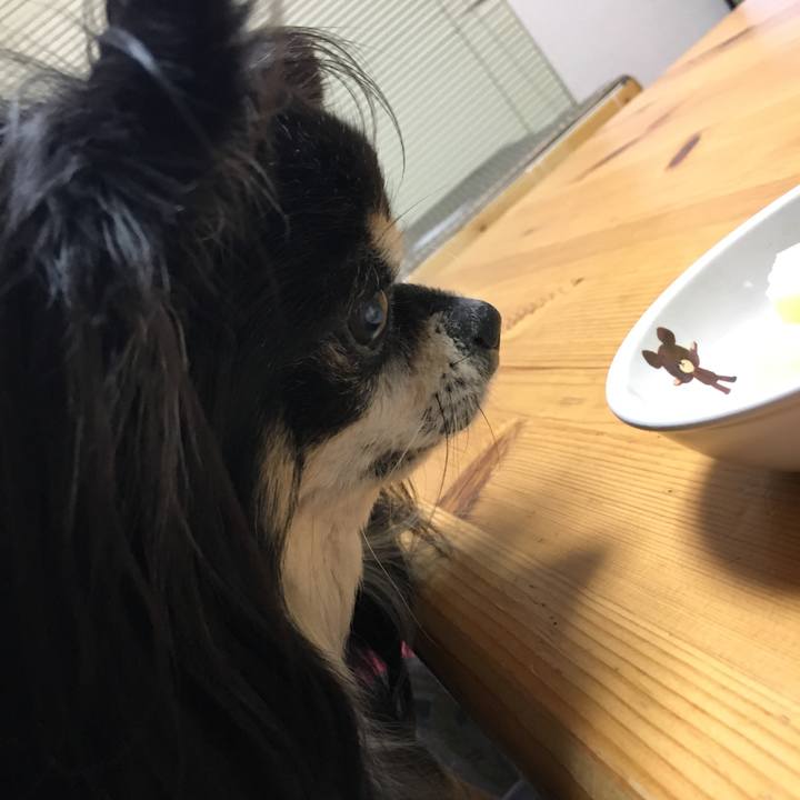 364d984a 4354 47b0 85bd d1e459be6ec4