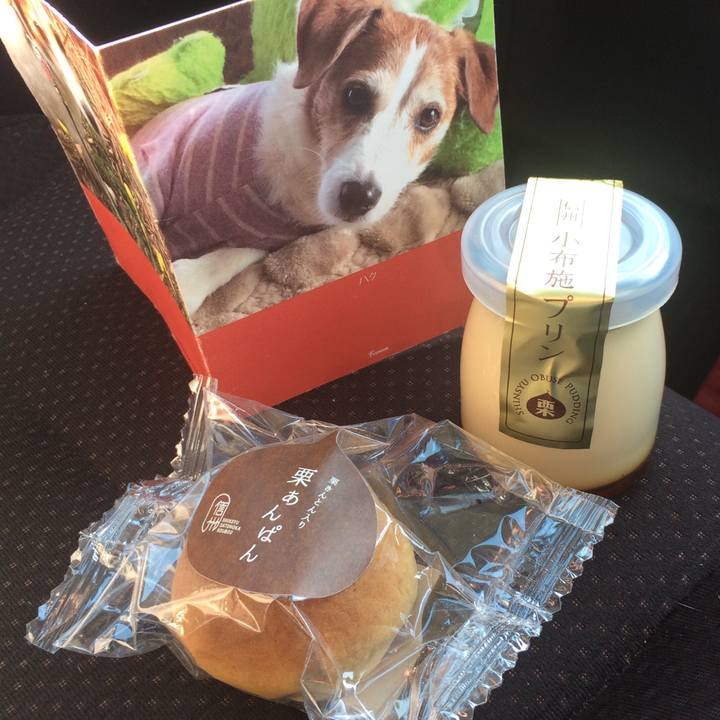 364de8ec 6a86 45d7 9aaa c63d65f97774