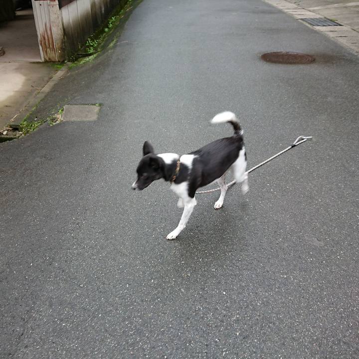 364e40ba c824 447e a1ea 01f60d71157e