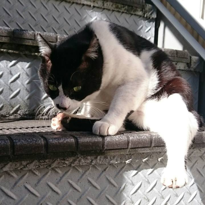 364ea83c aa5d 4b23 9320 a3f0dd0f9a5b