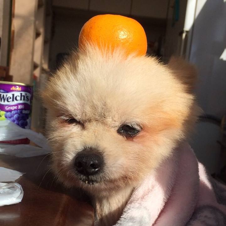 364ebce9 9e22 4fa0 bcc3 a6508082228f