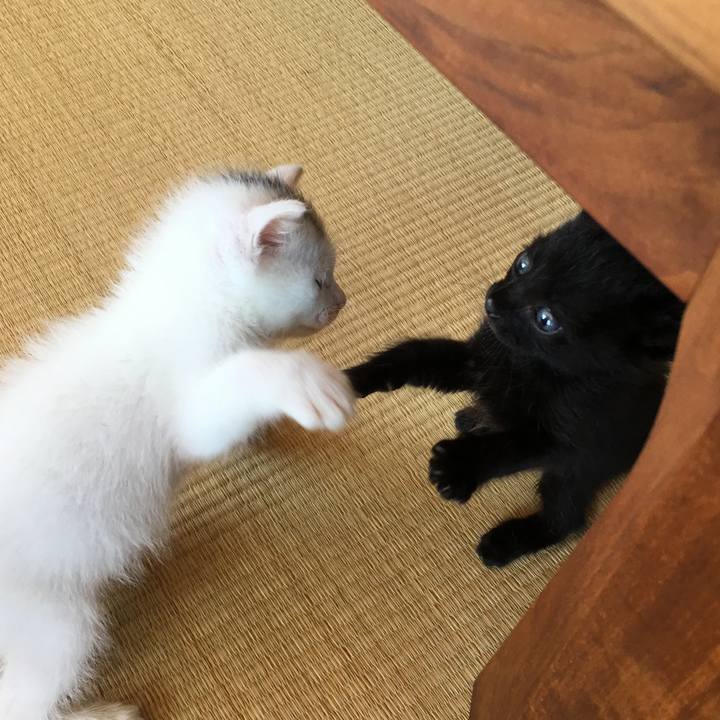 364f33cb d2df 44a7 ab39 4dd0424953a9