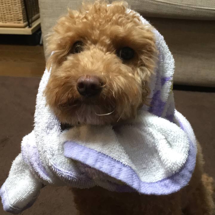 364fc2bf 95b9 4e64 992e 1a5c60547880