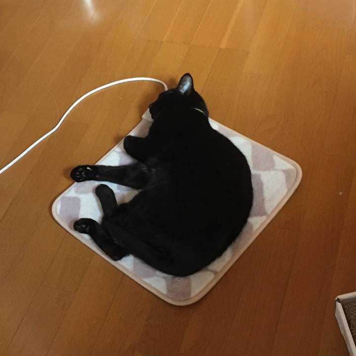 3650055b cfe2 4c57 bd1e 453a9c2a8f42