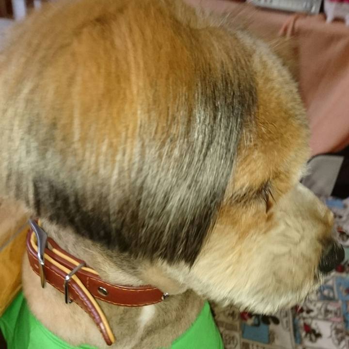 365045e4 71c2 4895 ad23 8502cf568677