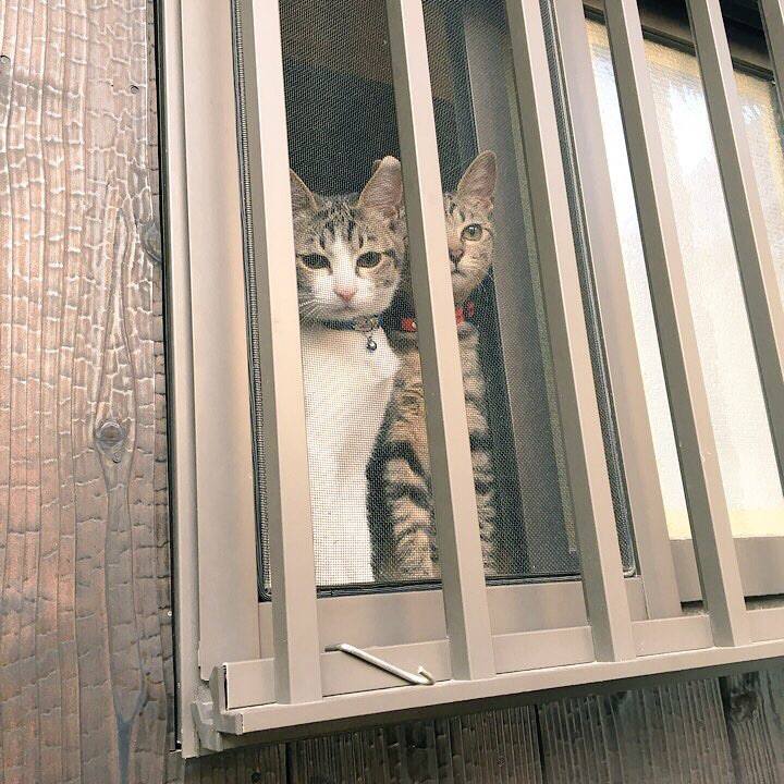 3650e766 2aa3 47e9 8ed9 d1370a0a40c4