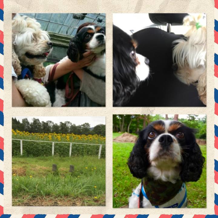 3651587b d1fc 48fb b0ca f921087c0585