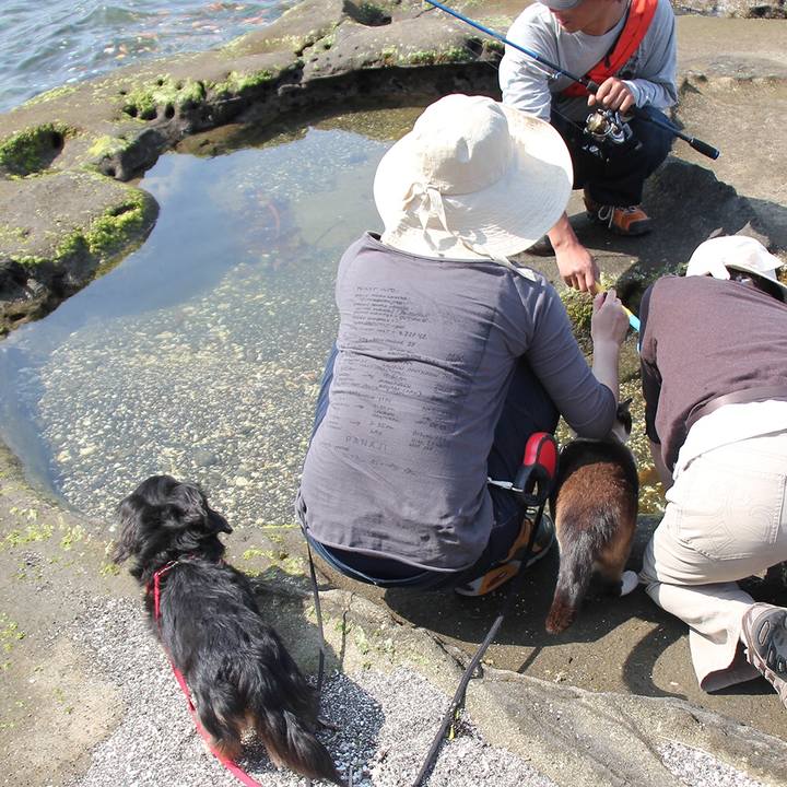 3653cd3c 710b 472c 9645 281eb303727a