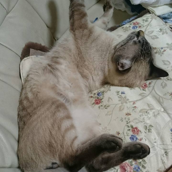 36543358 8513 4ab0 ad88 f4fc996b32a8