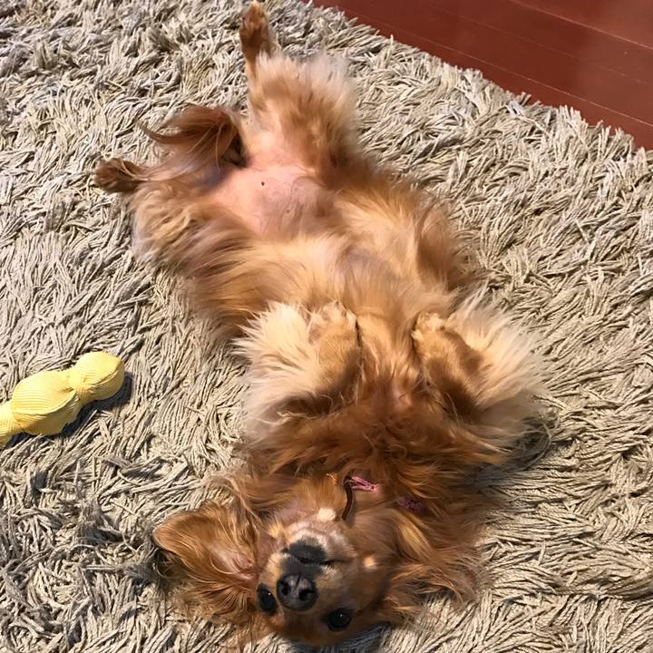 3655975f 7323 4584 8d85 c2355dbe2ad4