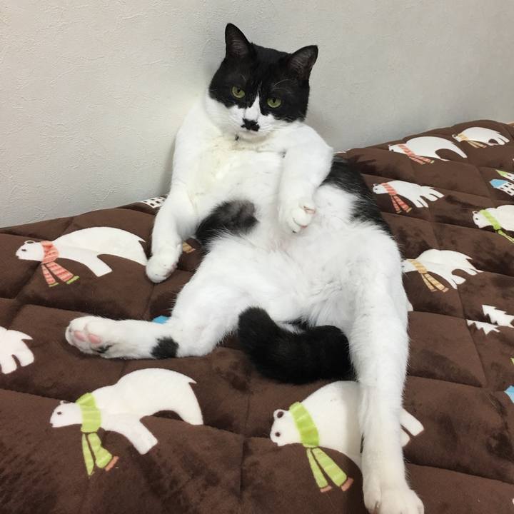 36559c6c 1fab 4bcc b6f7 81d2c532affa