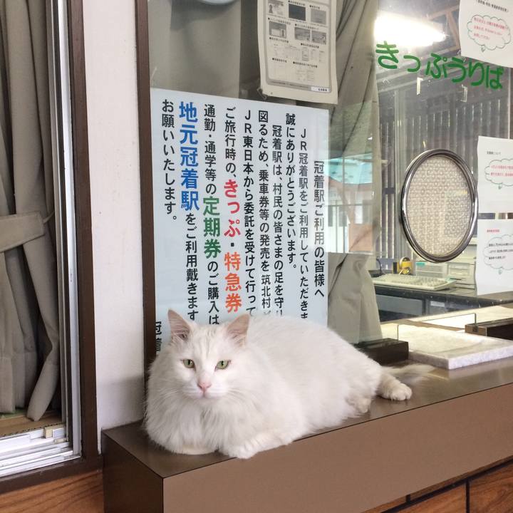 36565094 7b66 48fa b954 48fd45e0e0c3