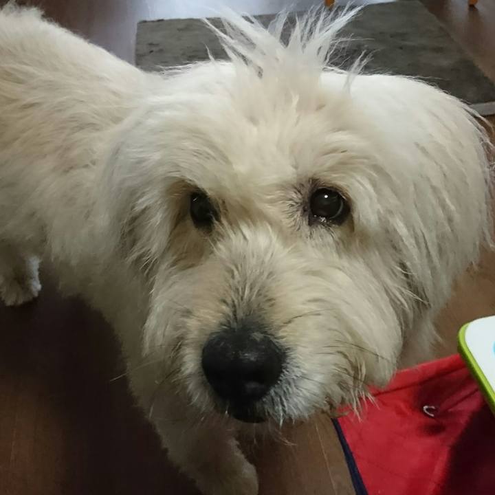 36565f8a 897d 4912 87c4 2a9632090696