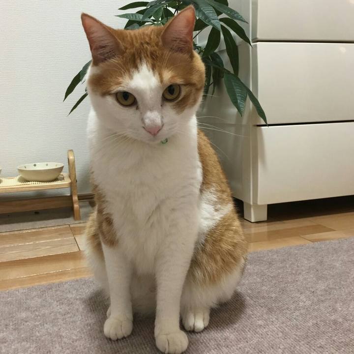 36568c8d 5a47 44ea ae2b 32cd74143e67